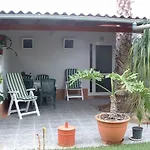 La Gaviota - Flores *