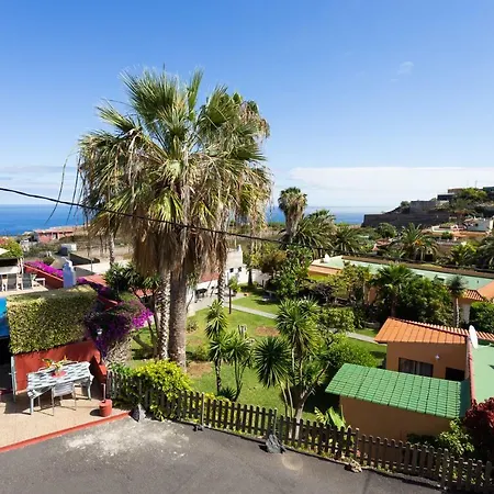 La Gaviota - Flores Apartman Icod de los Vinos