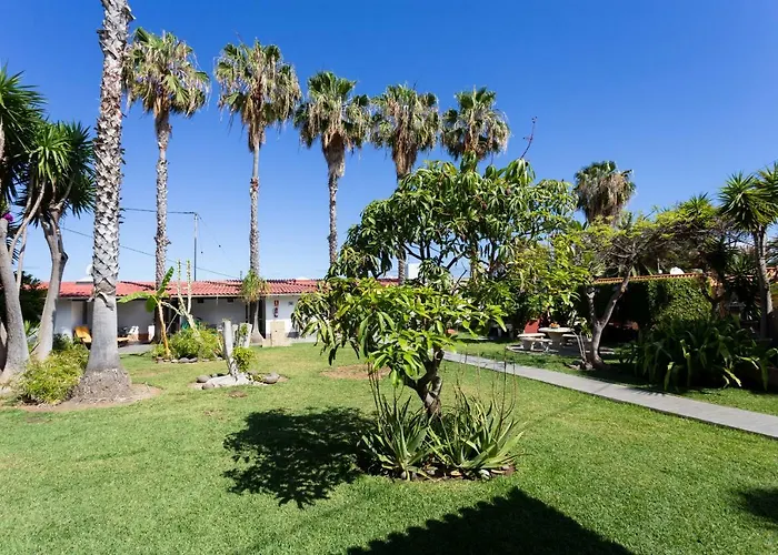 La Gaviota - Flores *