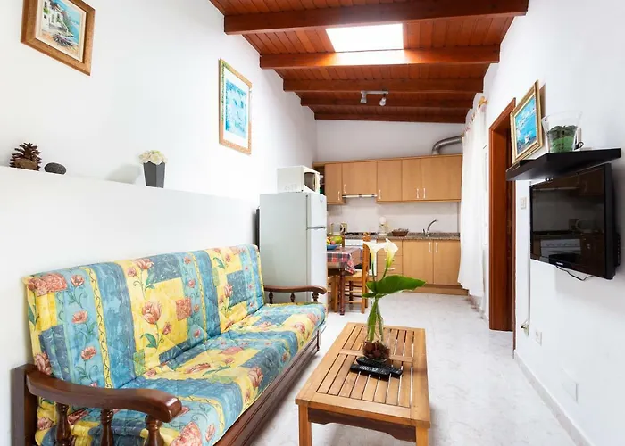 La Gaviota - Flores Icod de los Vinos