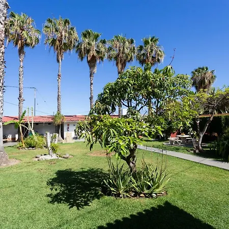 La Gaviota - Flores *