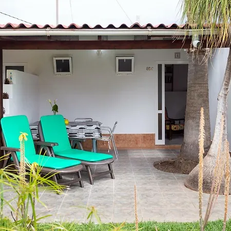 La Gaviota - Flores Икод-де-лос-Винос