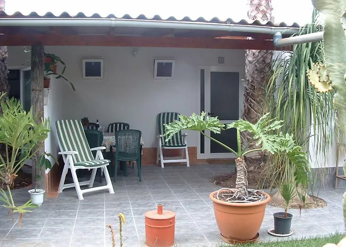 La Gaviota - Flores *