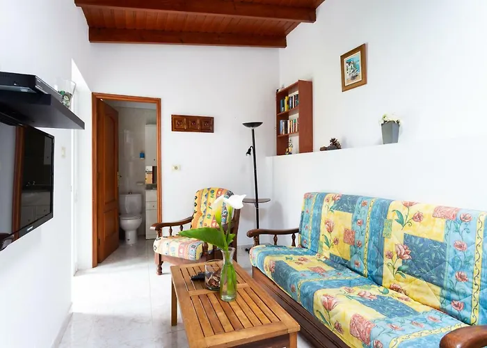 La Gaviota - Flores *