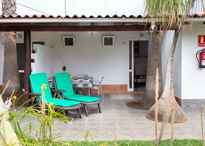 La Gaviota - Flores Icod De Los Vinos